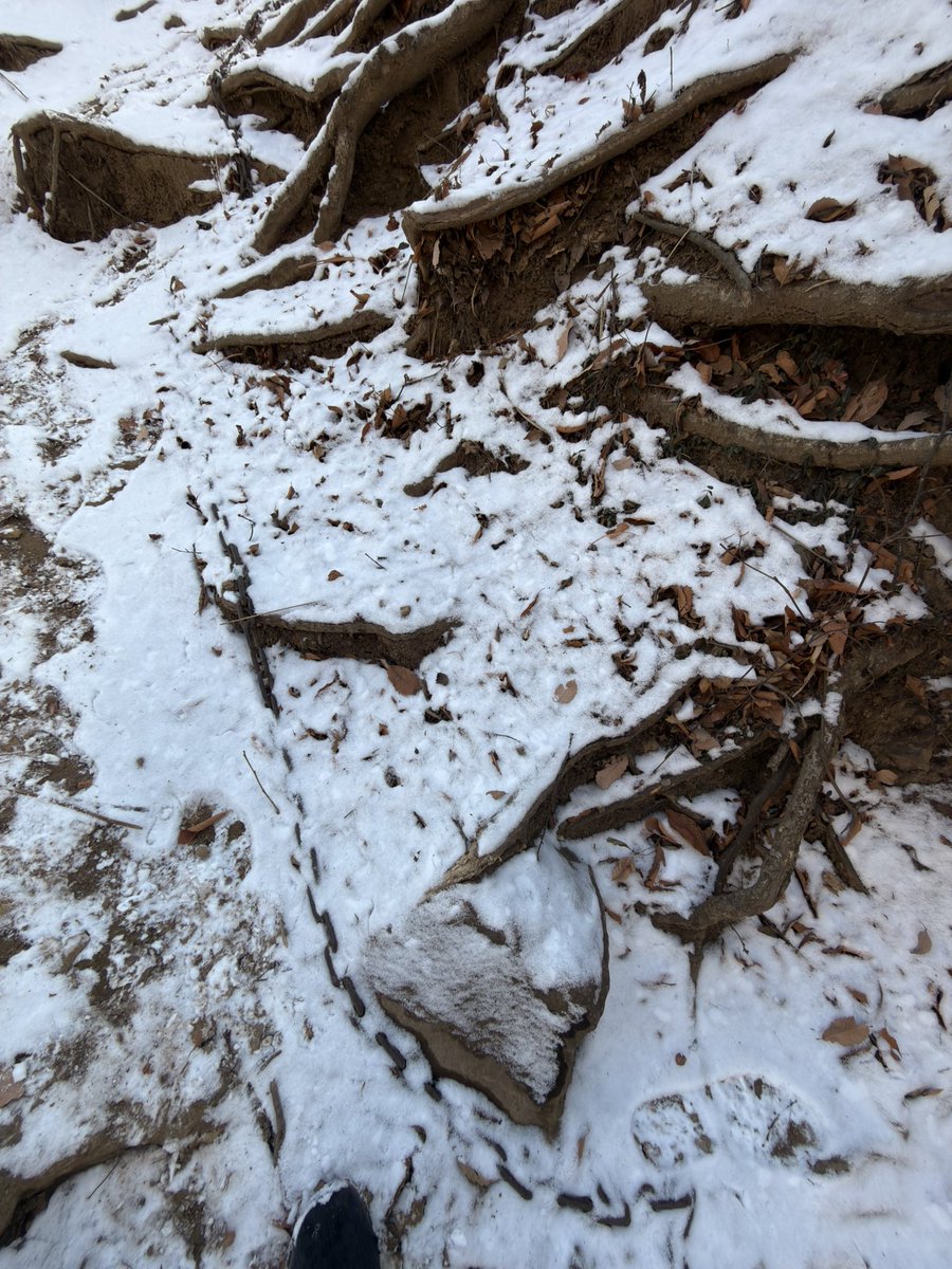 ねぇwwwwちゃんとして！！！⛓️