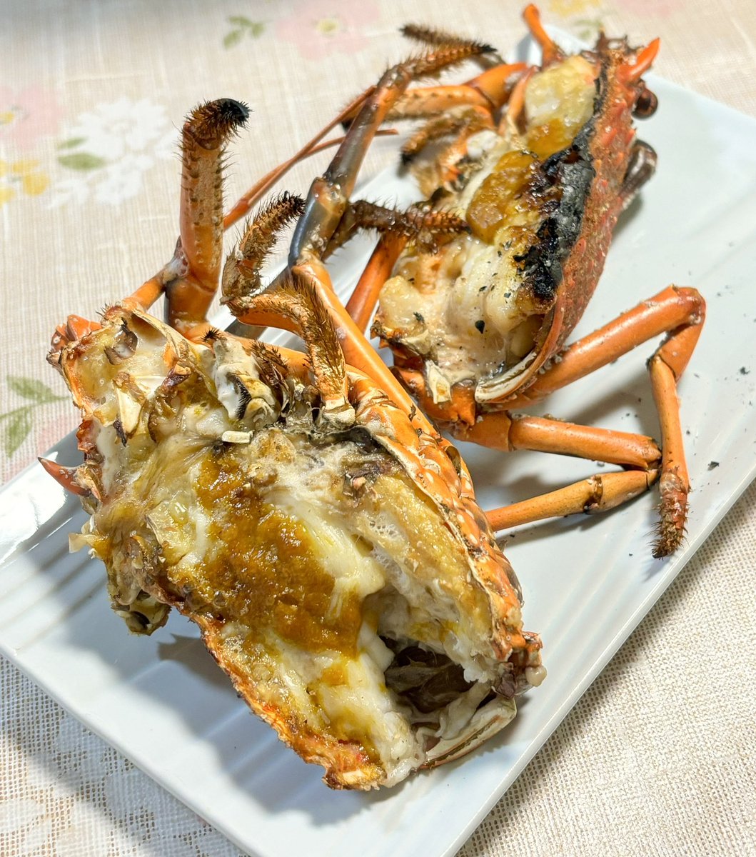 うにまる🍳 (@unimaru420) / Posts / X