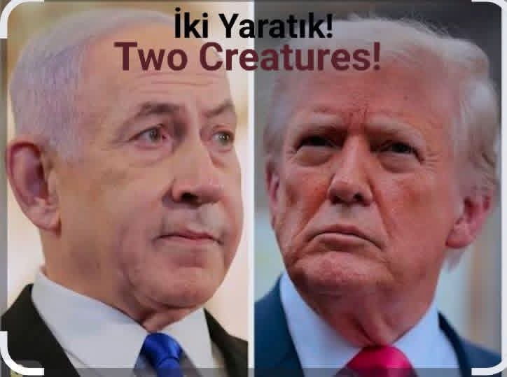 Dünya'da yaşayan tüm insanların nefret ettiği ve gebermelerini istediği iki yaratık!
-----
Two creatures that every person in the world hates and wants dead!