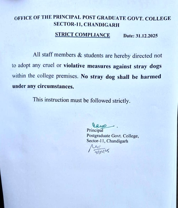 <a href="/SachiRupaliK/">Sachi</a> <a href="/GoaAnimalfedn/">Goa Animal Federation</a> <a href="/pricatttt/">Priyanshi</a> <a href="/PoromaMunshi/">Poroma 🇮🇳</a> <a href="/ShrijeetNair06/">The Dog Father</a> Salute to such sensitised heads of the Institution- like this Principal ,Post Graduate Government College Sector -11, Chandigarh -who know what real higher education includes and that it is part of their duty to impart it.....
Proud of you Madam/Sir for the empathy,kindness