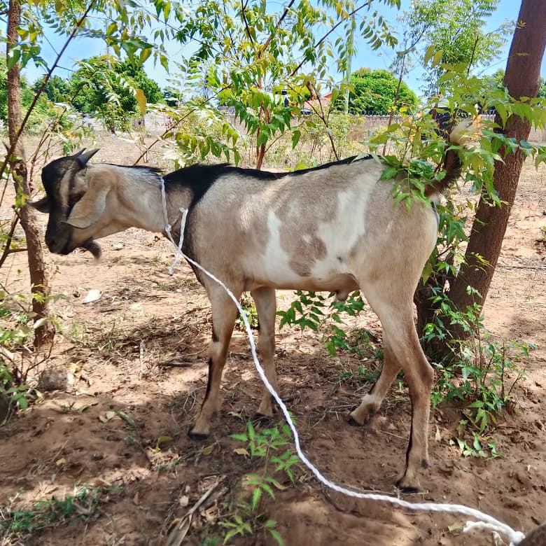 EngineerShaha's tweet image. #NewProfilePic