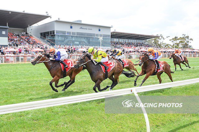 Nadia Horne ❤️🛵🐶🌹 tweet media