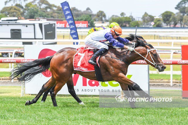 Nadia Horne ❤️🛵🐶🌹 tweet media