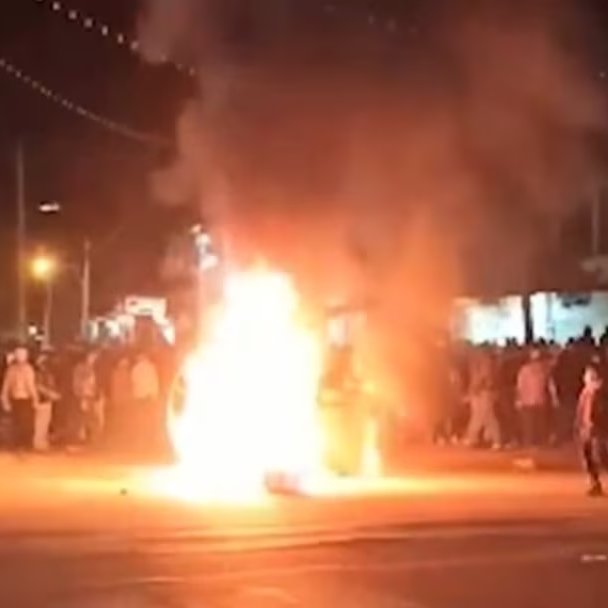 ✦✦✦ 𝙿𝚊𝚖𝚙𝚑𝚕𝚎𝚝𝚜 ✦✦✦ tweet media