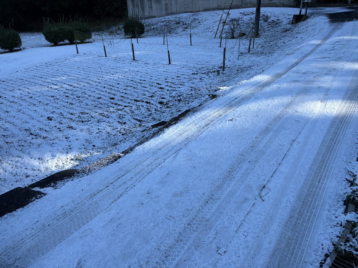 山の日陰はまだツルツルだから迂回迂回