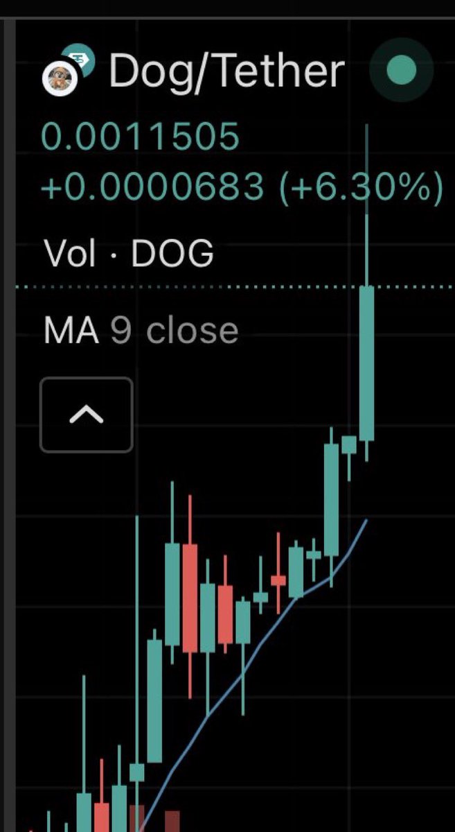 colorshifter2's tweet photo. 2026 BULL $DOG year https://t.co/Qq1gCK7xCz