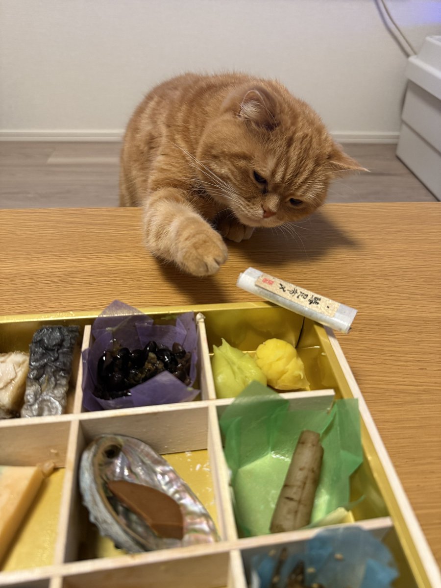 にゃむ (@nyamuchannel) / Posts / X