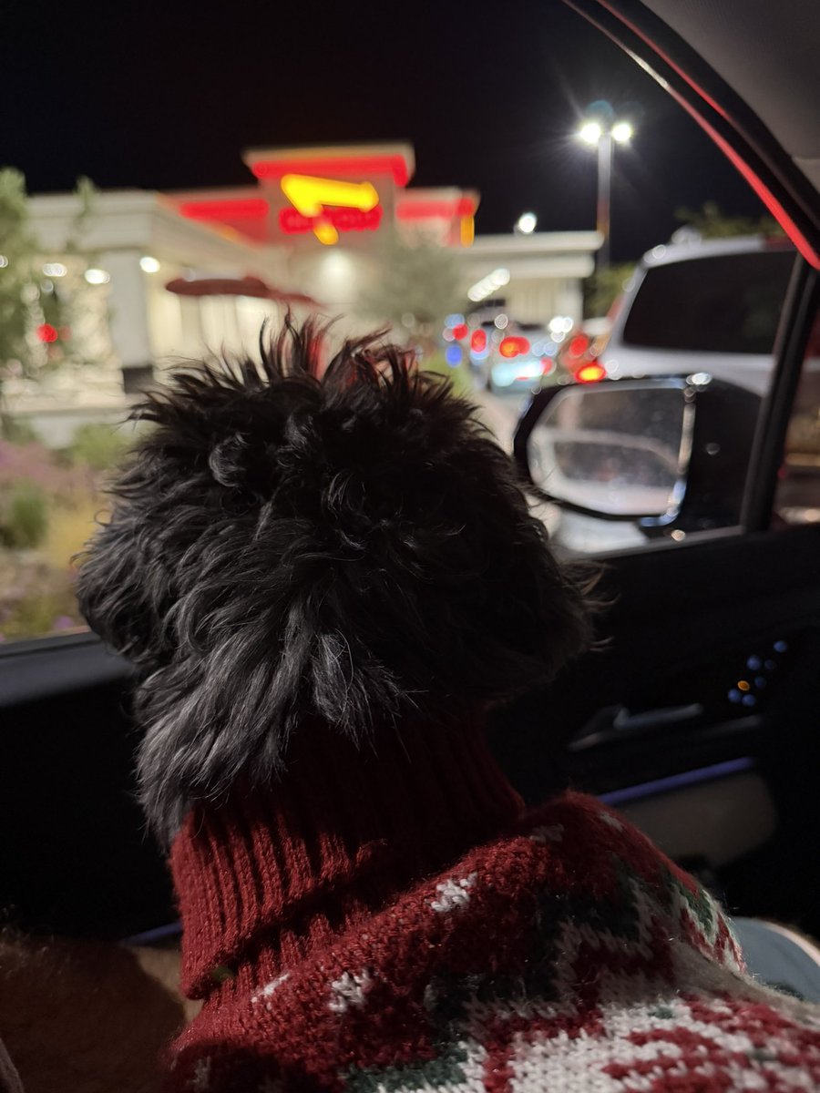 Jason Mauss tweet media