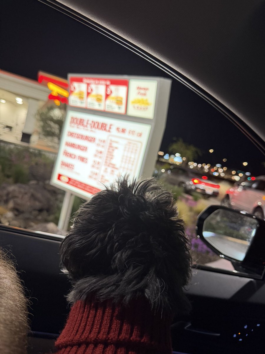 Jason Mauss tweet media