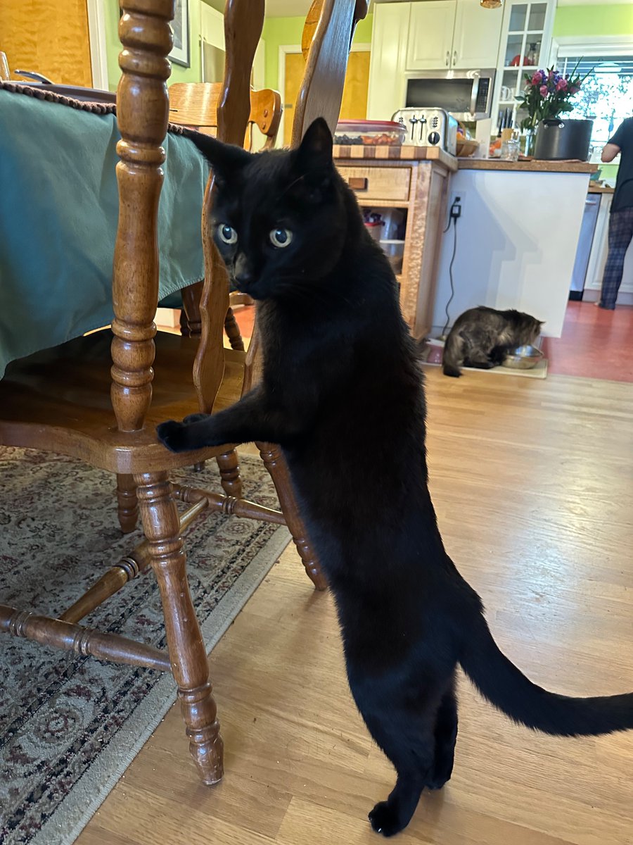 Michelle Marie tweet media