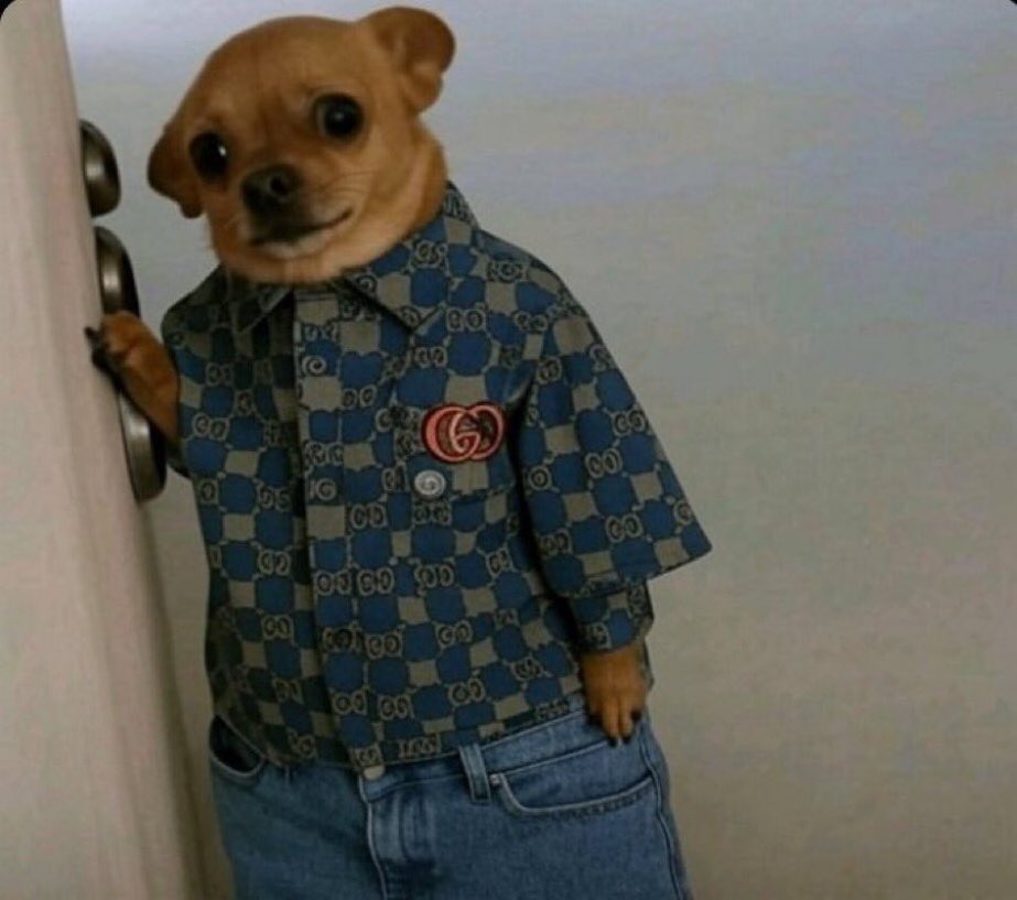 HUMUORn's tweet image. I applied to a job 45 mins ago and they’ve already emailed me saying no 💞