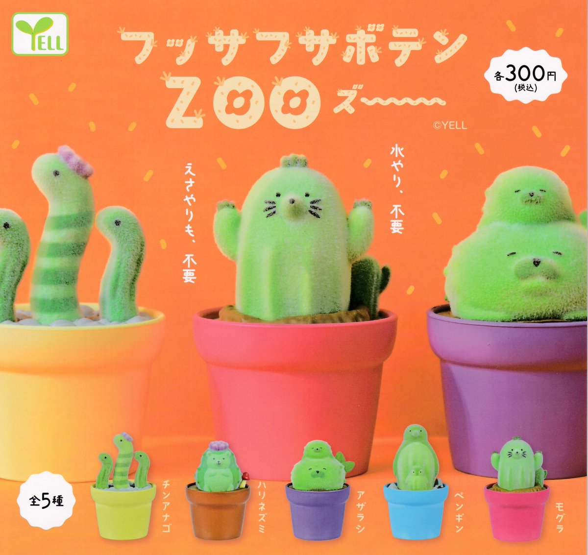 ※pepe※謝恩セット 4個 ほしぞらエクスプレス 知育玩具 木のおもちゃ GENI