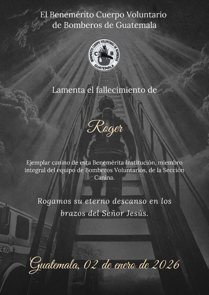 Vinicio Gutierrez tweet media