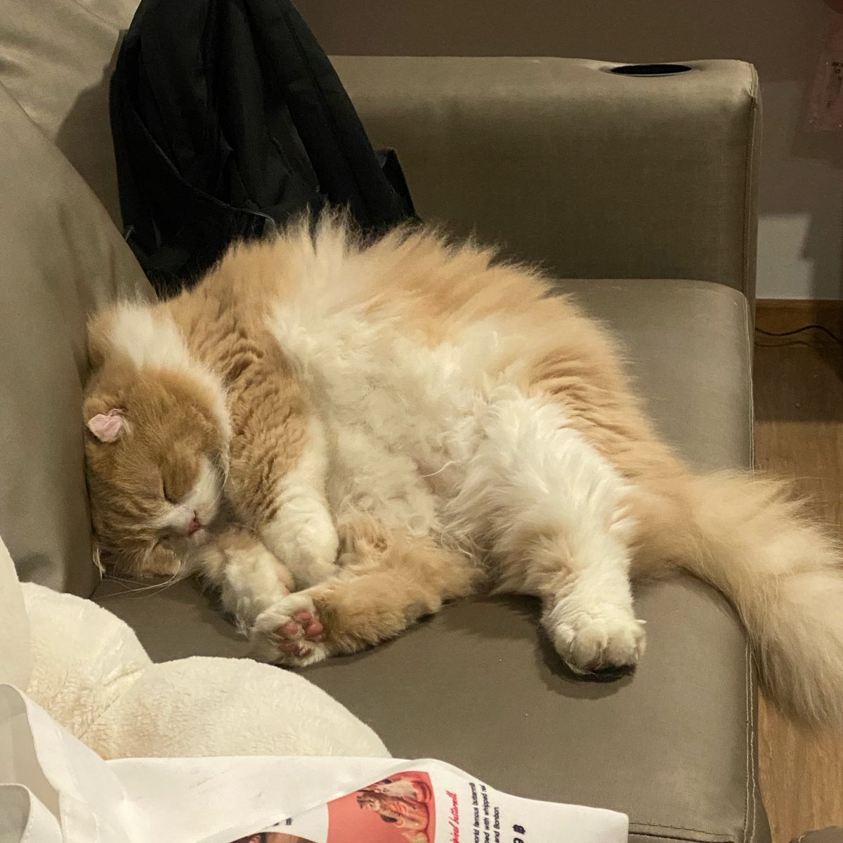 สภาพหลังโดนแม่ลากออกมาพบปะประชาชน