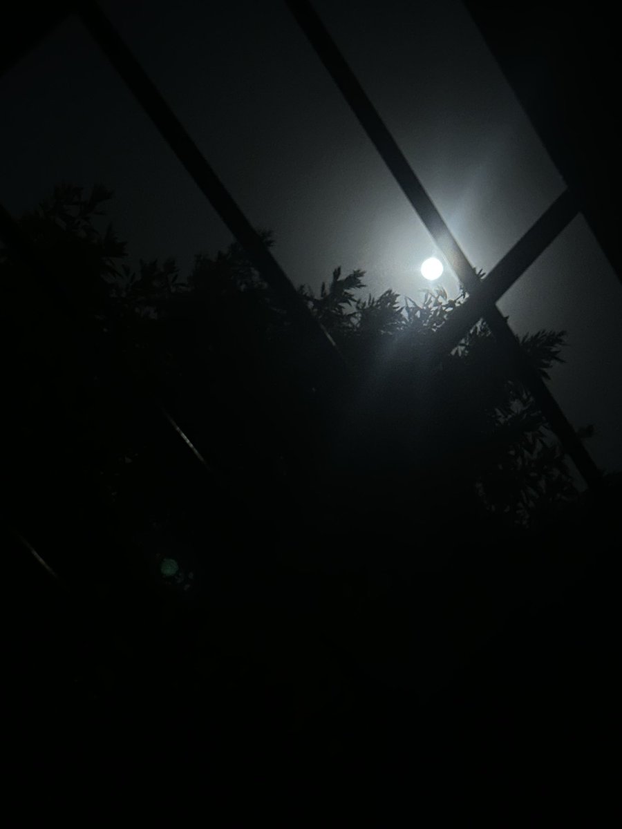 Hoy dormimos joya olvidate