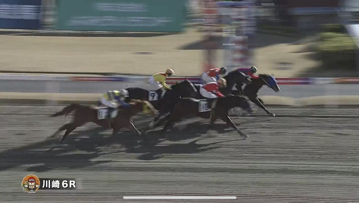 おめでとうございます🎉