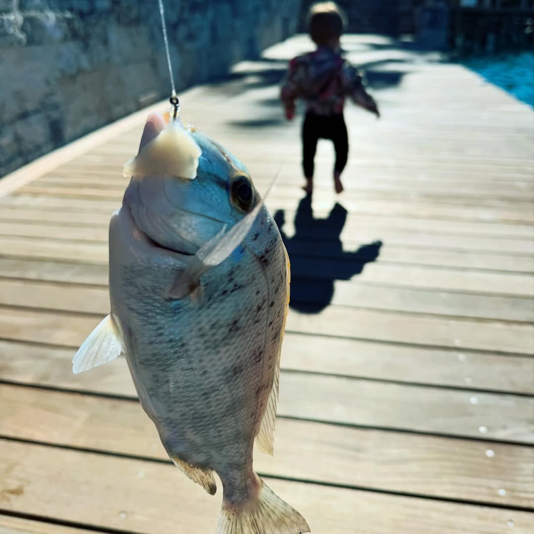 justinbieber's tweet image. 