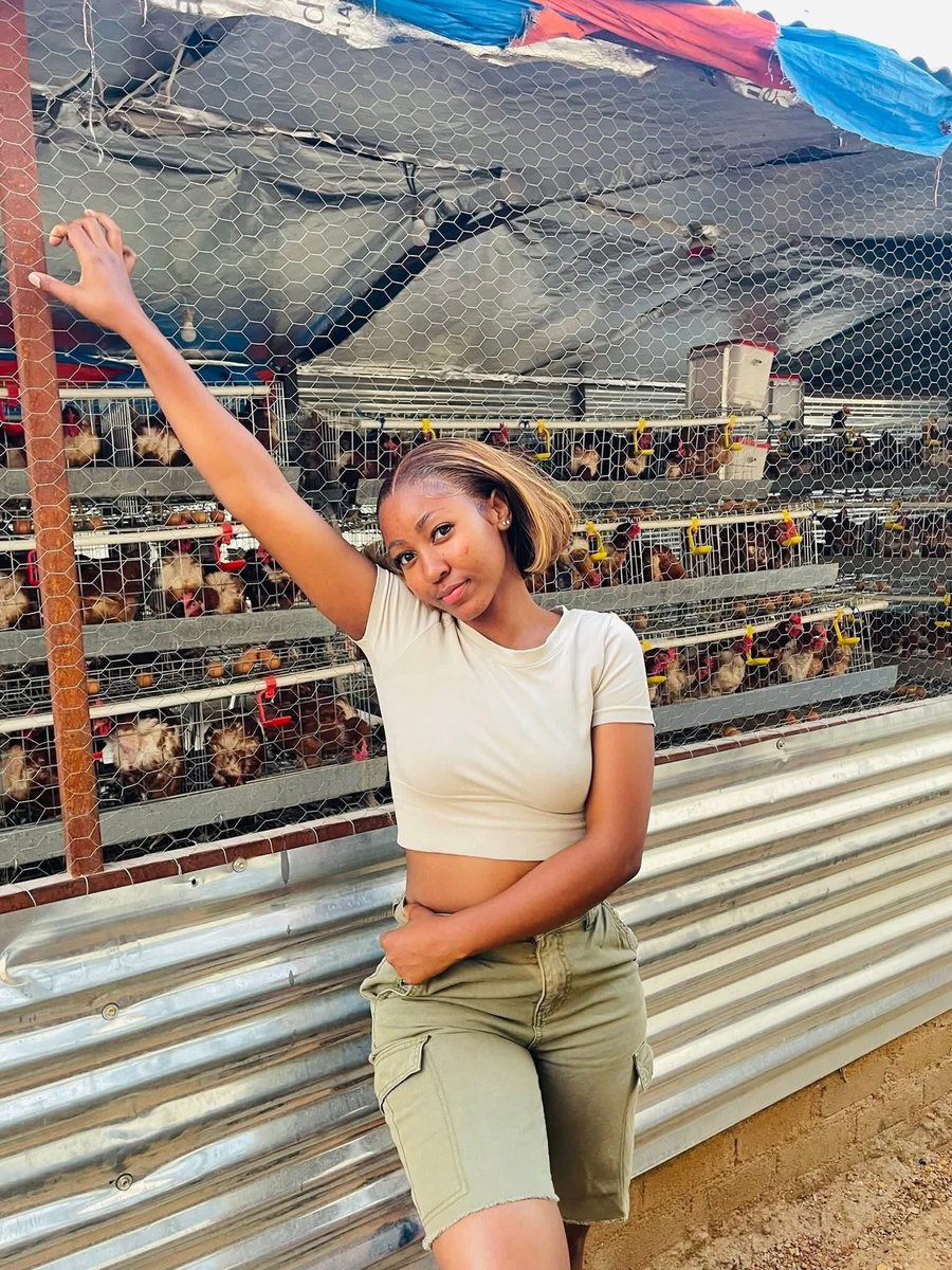 SBmatters_za's tweet image. Wendy's Poultry Palace