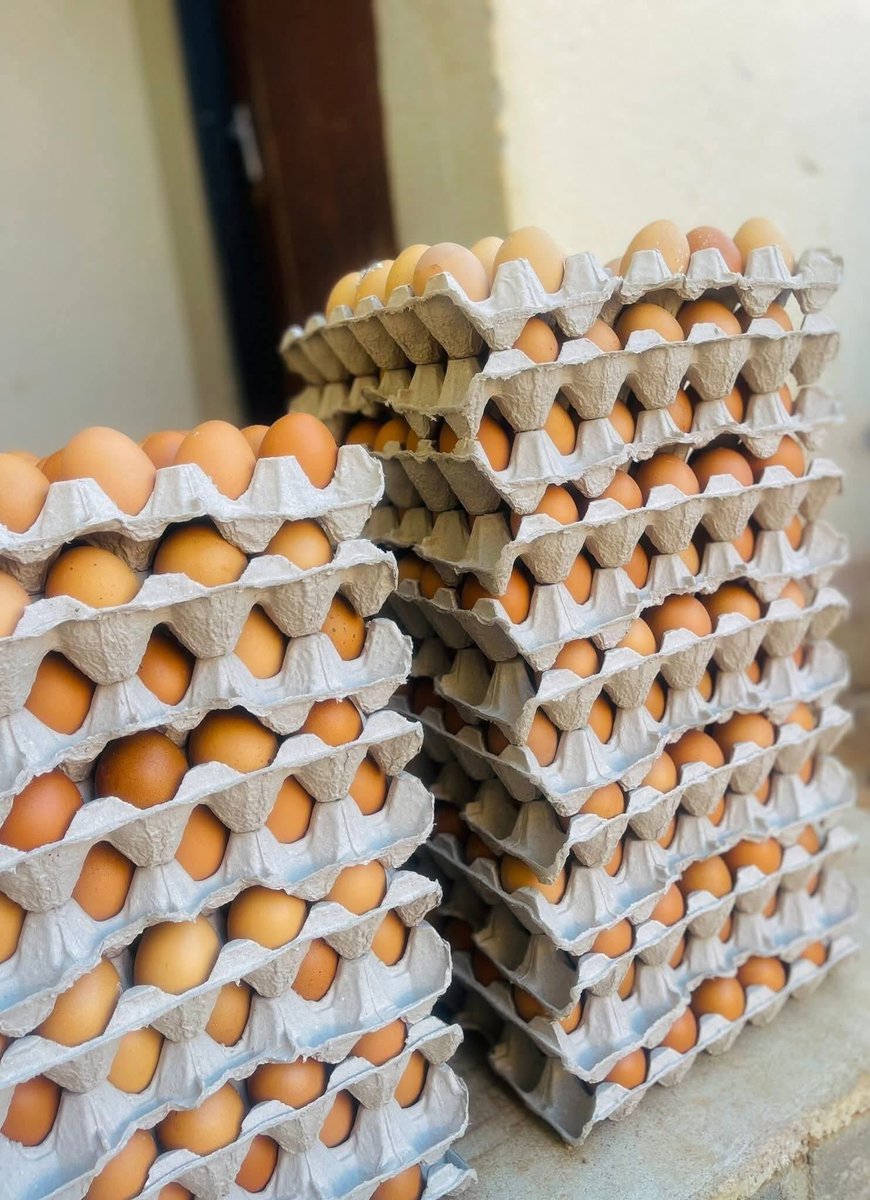 SBmatters_za's tweet image. Wendy's Poultry Palace