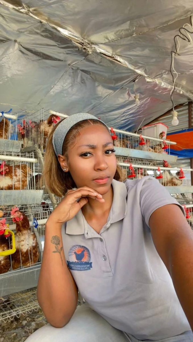 SBmatters_za's tweet image. Wendy's Poultry Palace