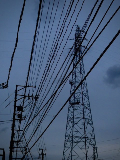 ハシモト。 tweet media