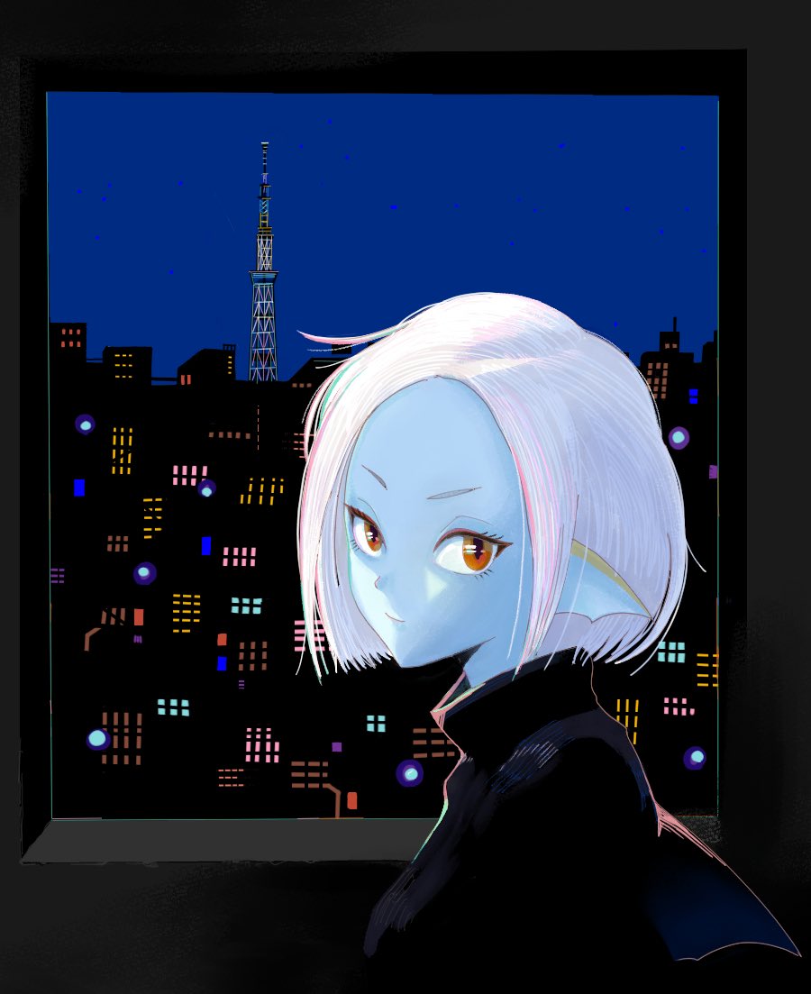 DQdoona's tweet image. かわいく描けた
夜景ハウジンガー