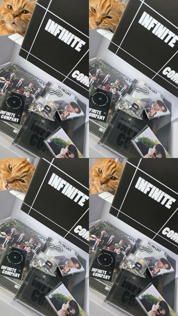 ixfixite's tweet image. Look what finally came! 🤩✨️

Catto made his cameo too🤭