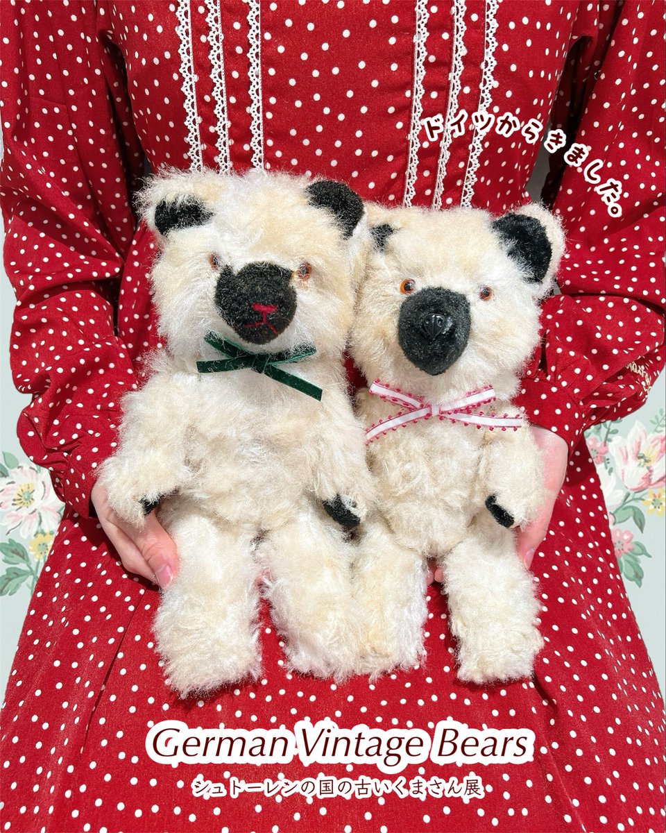 ドイツからきました】 シュトーレンの国の古いくまさん展 ◾︎しろくろ
