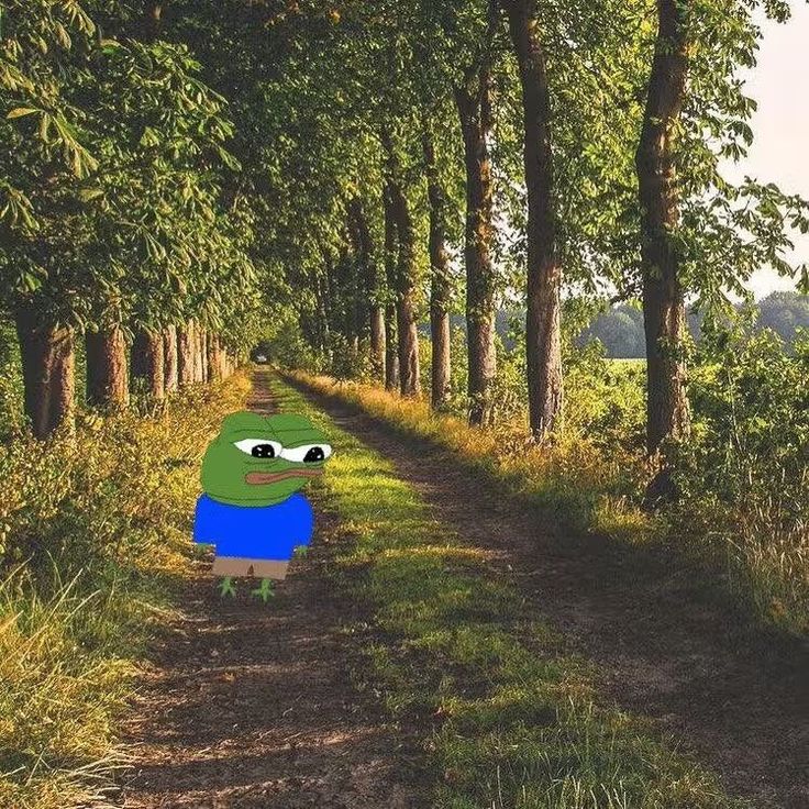 GM CT

It's another day to go harder on my convictions!!

<a href="/rainbowdotme/">Rainbow</a> isn't just another random wallet, it was built to actually make Defi interactions very seamless for its users. From the smooth UI to how effortlessly you can manage your tokens, view your Nfts, navigate