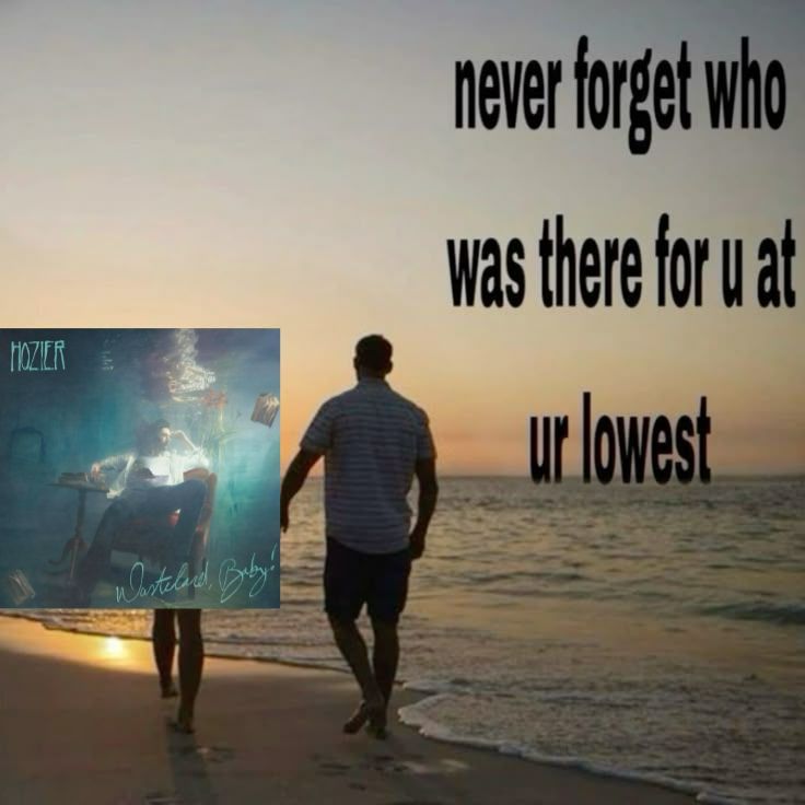 SeeHowItShiness's tweet image. 