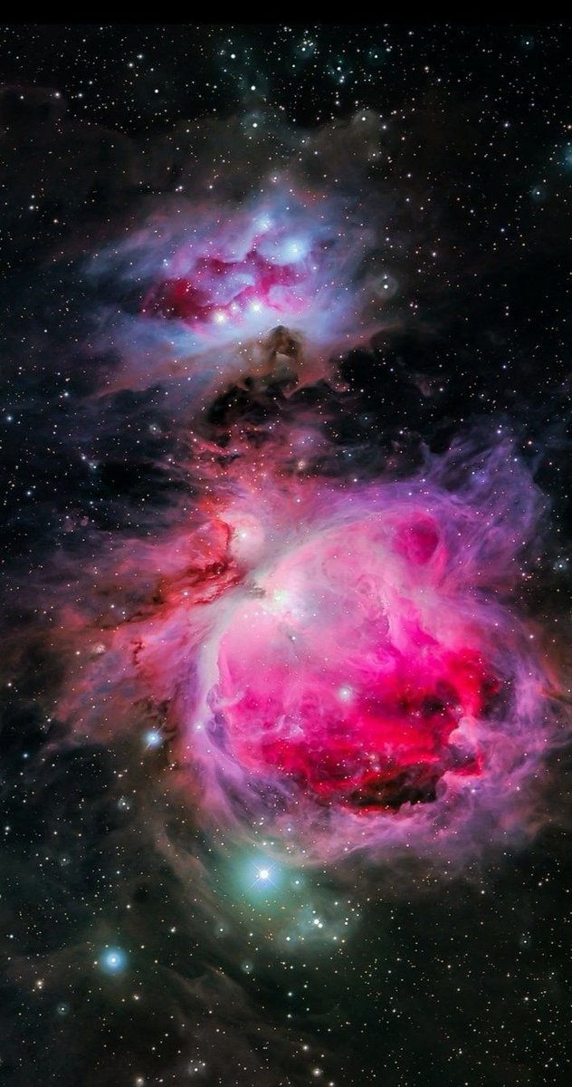 maiz_julio's tweet image. M42 Great Orion nebula by Alistair Scoby.