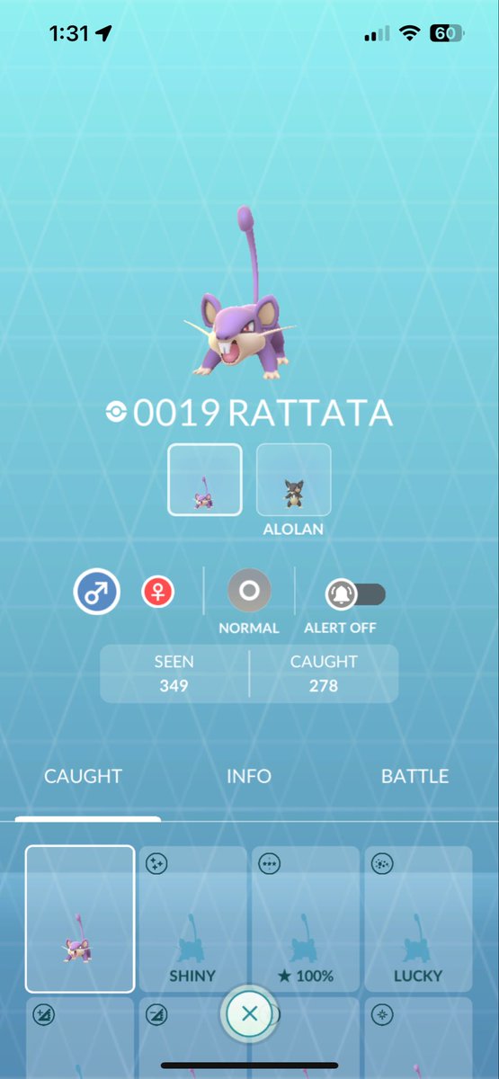 angust322's tweet photo. @Kiwisteve5 ….. outstanding rat catching performance 🤣 https://t.co/nxCF6dklyH