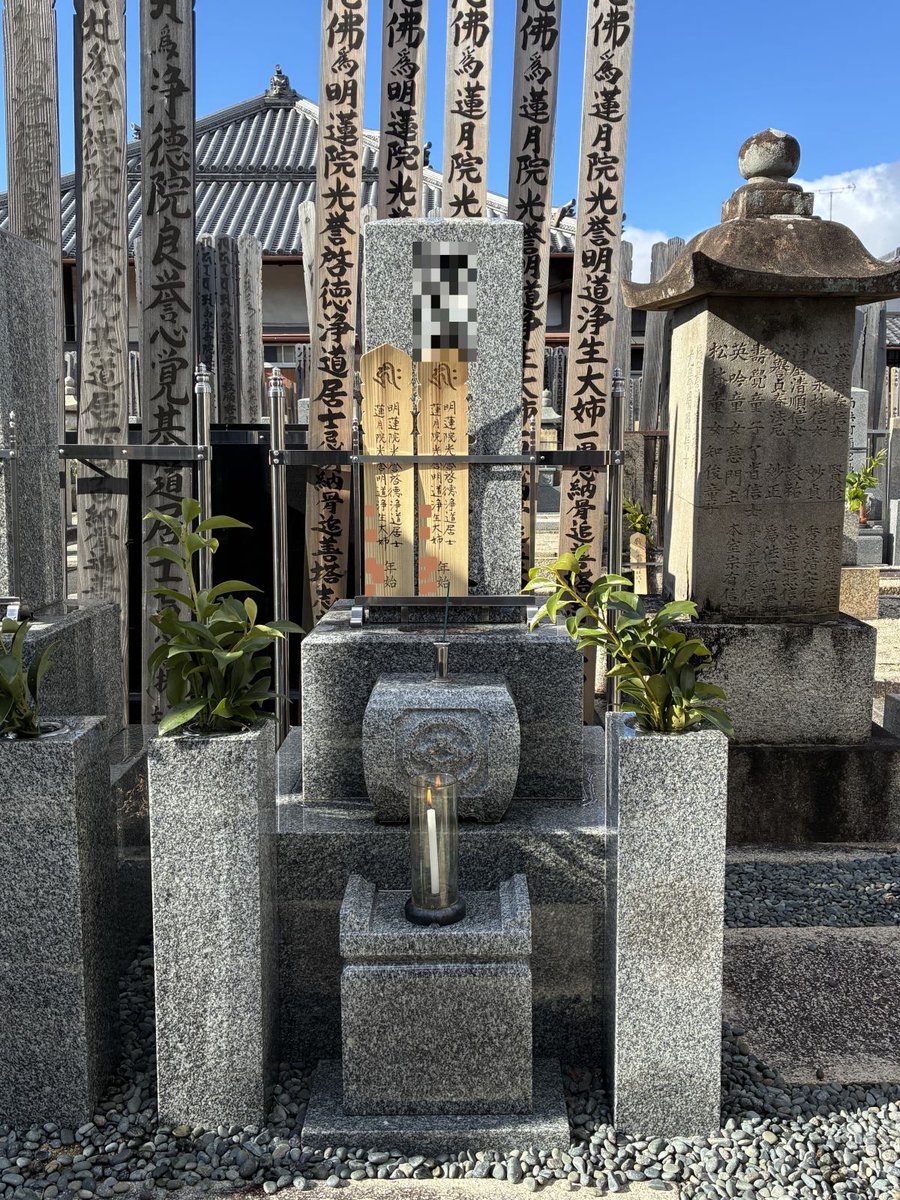 金太郎 (@DE3FS_Kintaro) / Posts / X