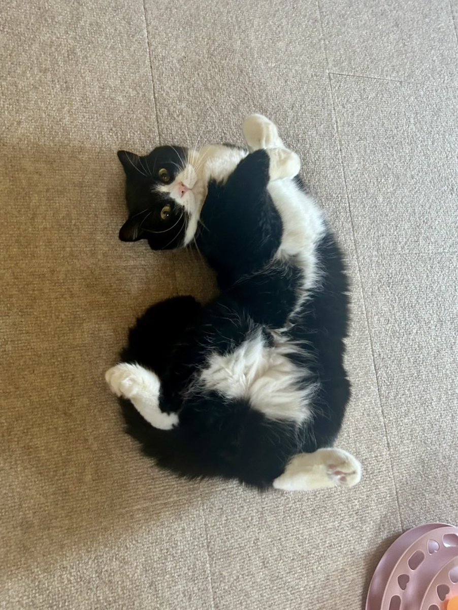 たろう (@taro20216) / Posts / X