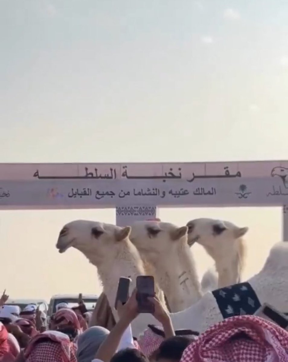 HamedaIIah's tweet image. 