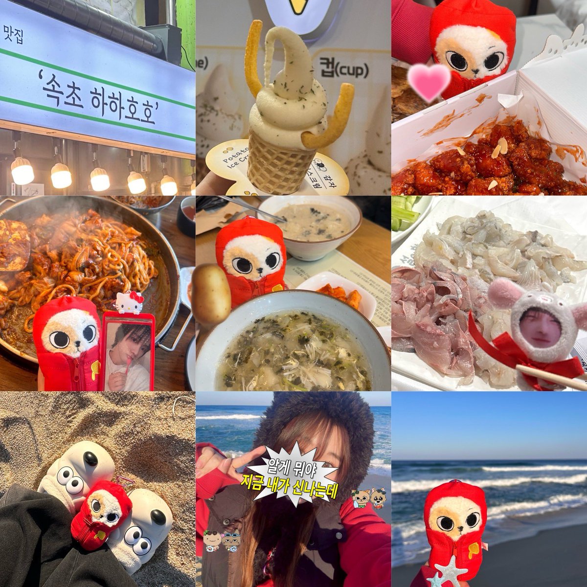 춘천 - 속초 - 강릉    ദി- ·̫ - ̳^