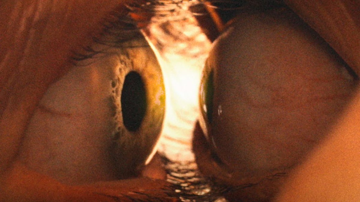 aeyenah's tweet image. Together (Michael Shanks, met Dave Franco &amp;amp; Alison Brie) bouwt rustig op en voelt eerst wat flauw aan, maar vindt gaandeweg zijn ritme. Ongemakkelijke scènes, groeiende spanning en sterk acteerwerk maken het uiteindelijk de moeite waard.

#AeyenahKijkt #MiniMening #QuickTake