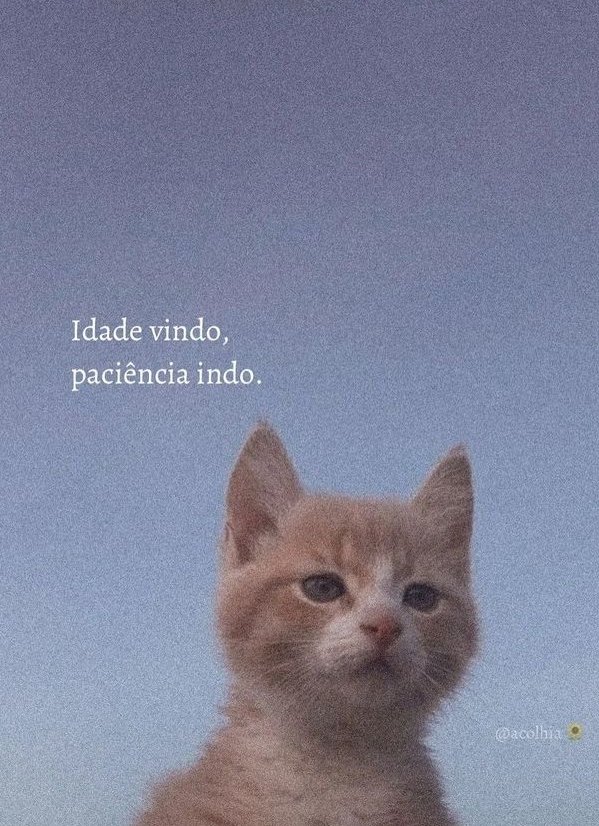 desabafos (@soudesabafosofc) on Twitter photo 