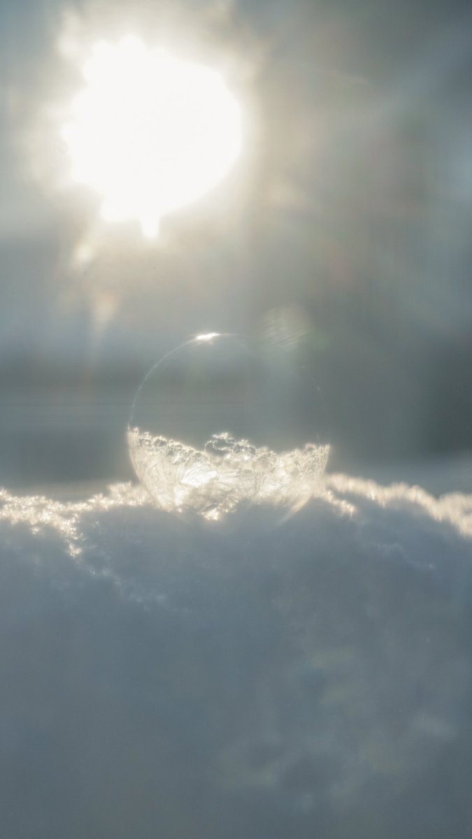 harerukitto's tweet image. #写真好きな人と繋がりたい #ファインダー越しの私の世界 #キリトリセカイ
雪遊び？