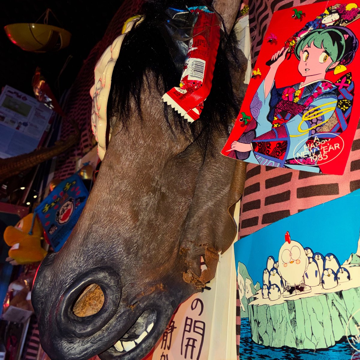 ウサギ堂オープンしました(*^^*) 本日はあんじゅとののちゃん