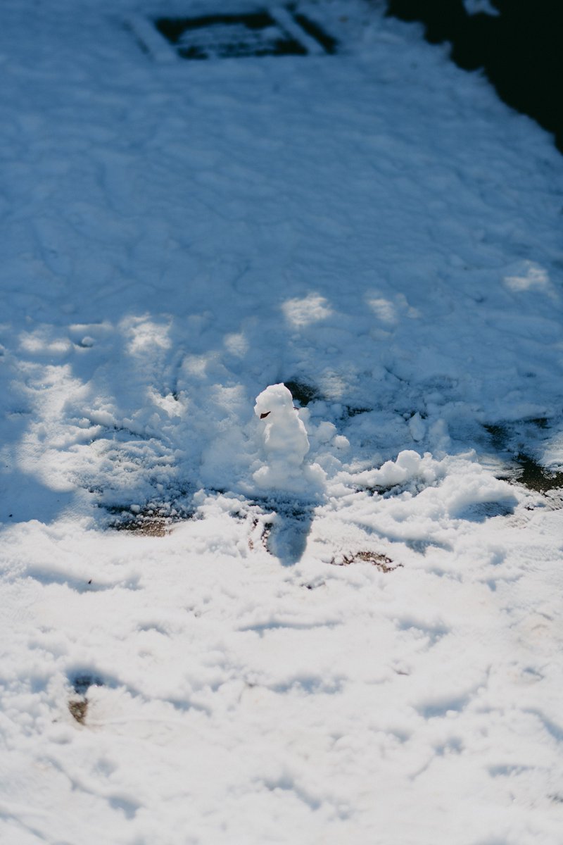after the snowfall.