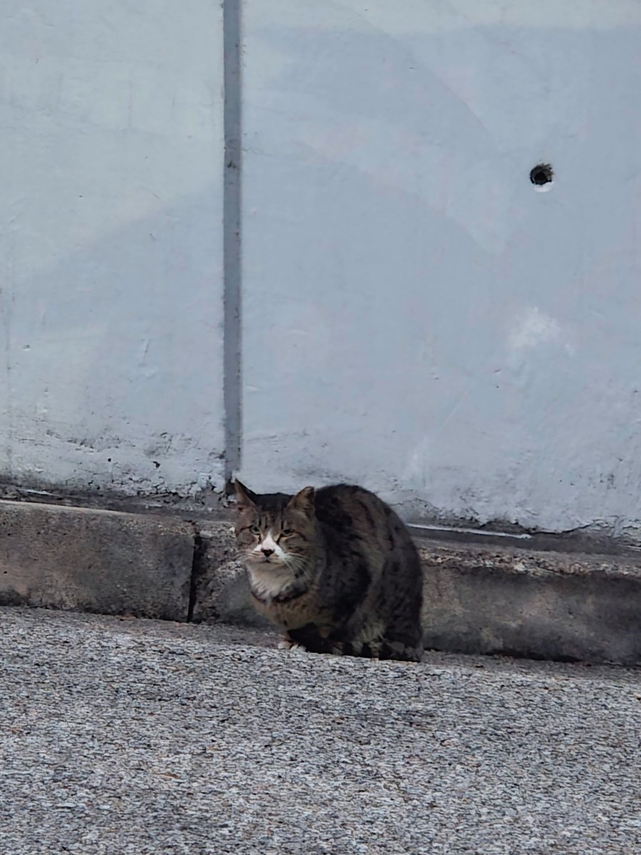 coldsun11's tweet image. 아가, 안 춥니?