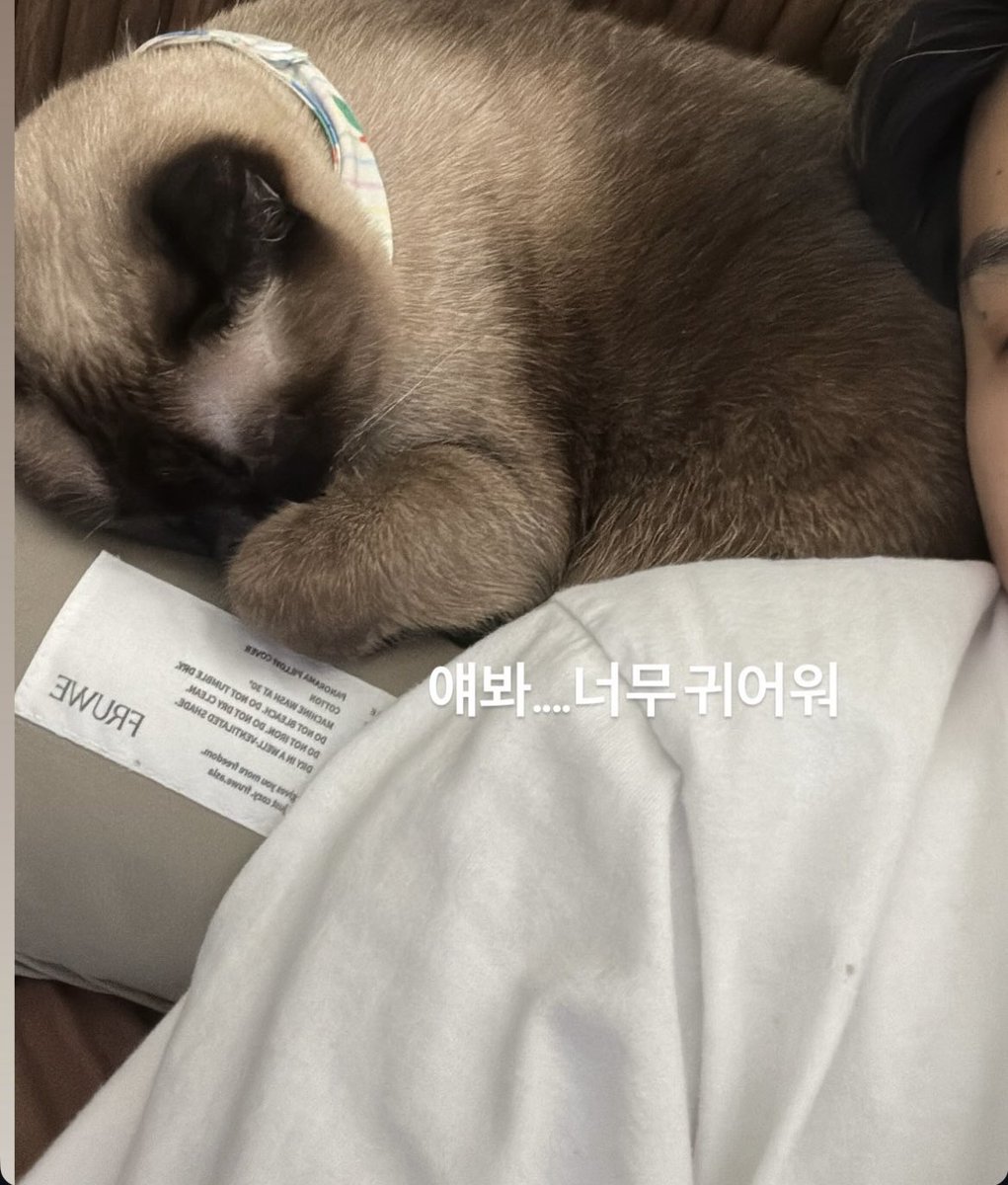 NooAon born to be JAYB’s fan🫠 언 와라차야 tweet media