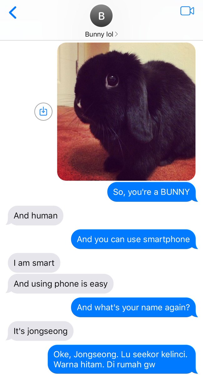 lumineiges's tweet image. heejay au black bunny hybrid jjong because i have a free will.