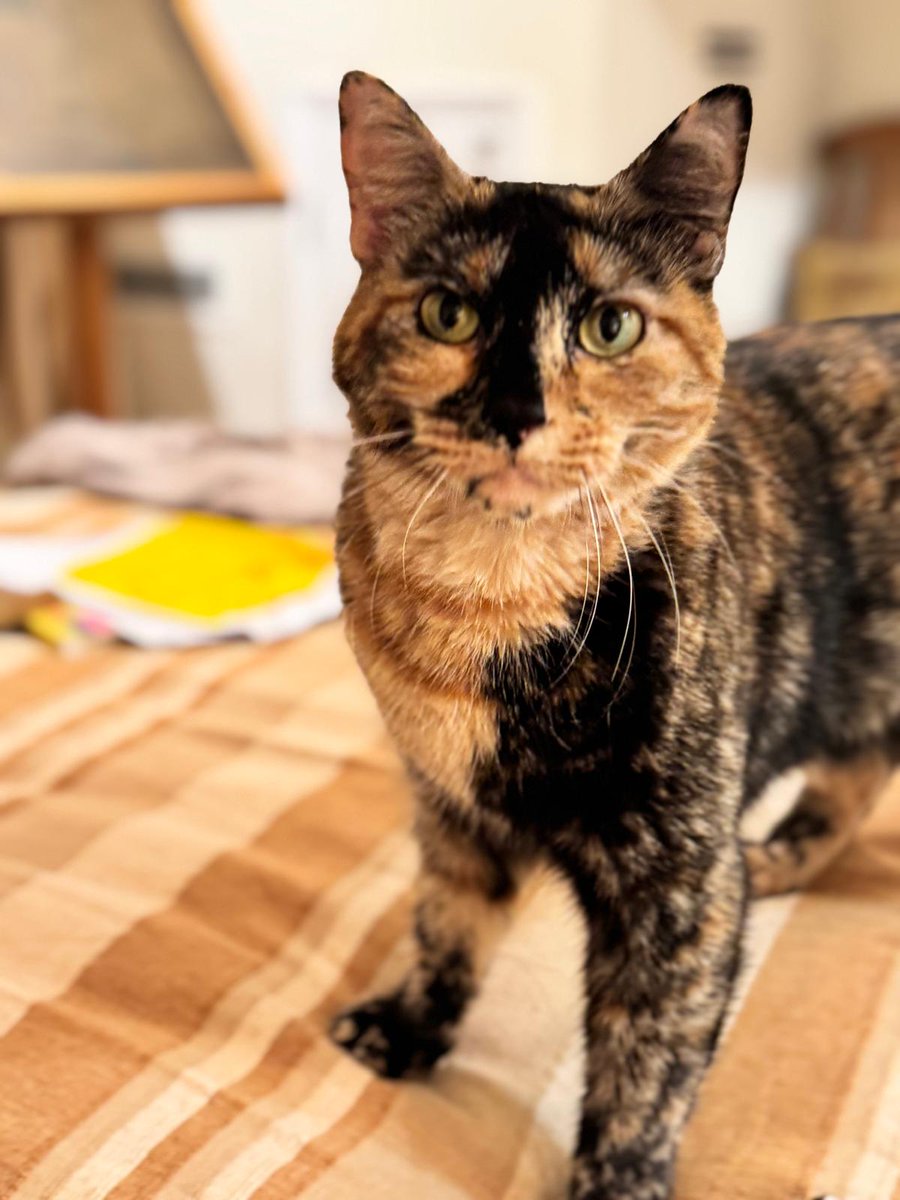 Winter is nature's way of saying, 'Up yours.'
- Robert Byrne