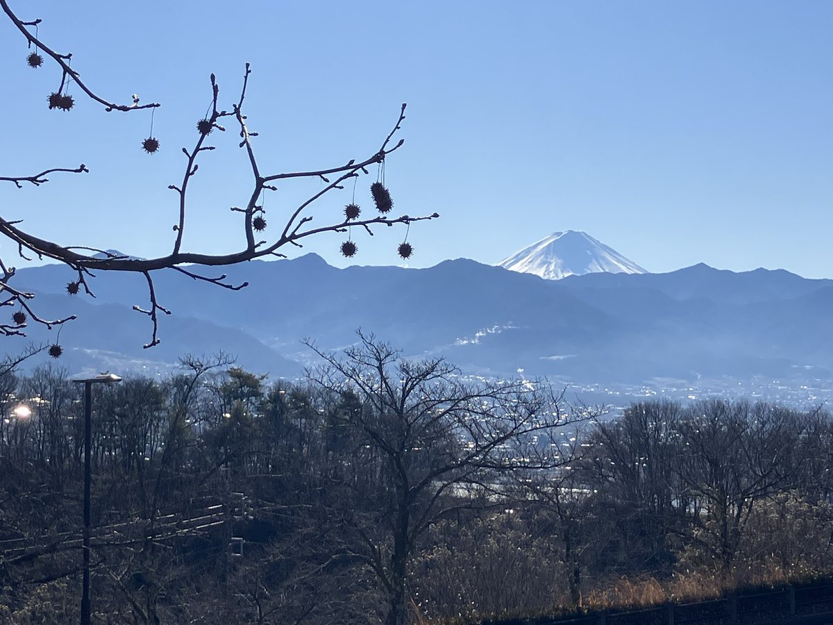 これは年始旅行の一枚。
