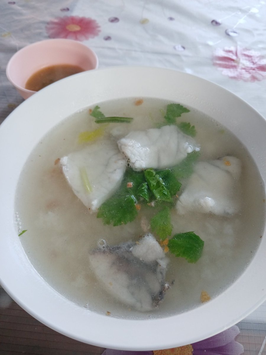 🌈🐈‍⬛ nae Ⅲ 🐈‍⬛🌈 (@_____nae_____) / Posts / X