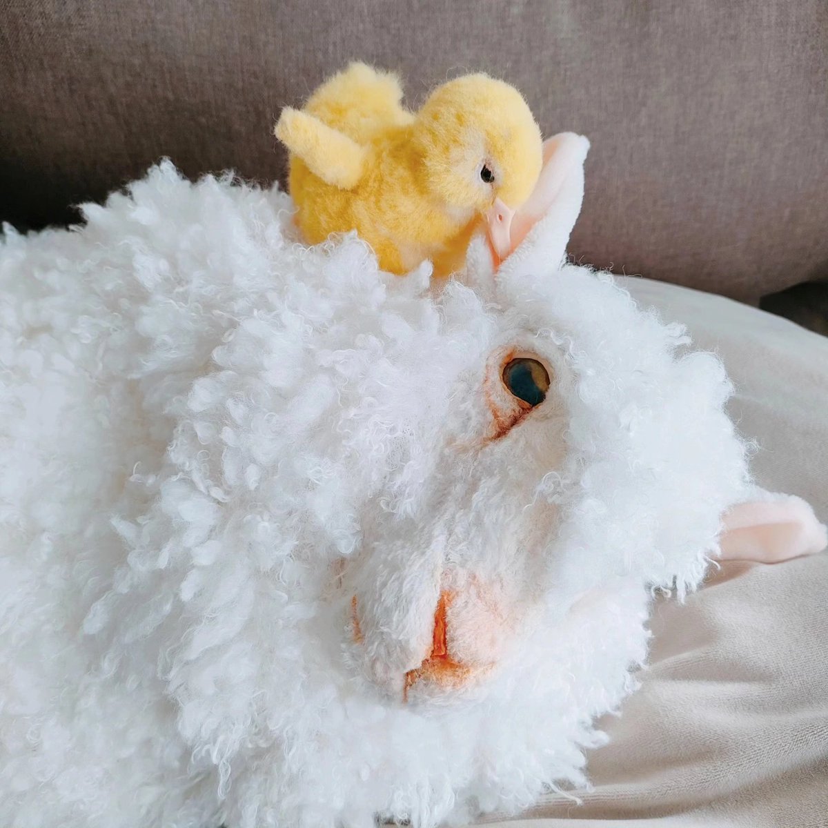 moyoneko (@moyoneko) / Posts / X