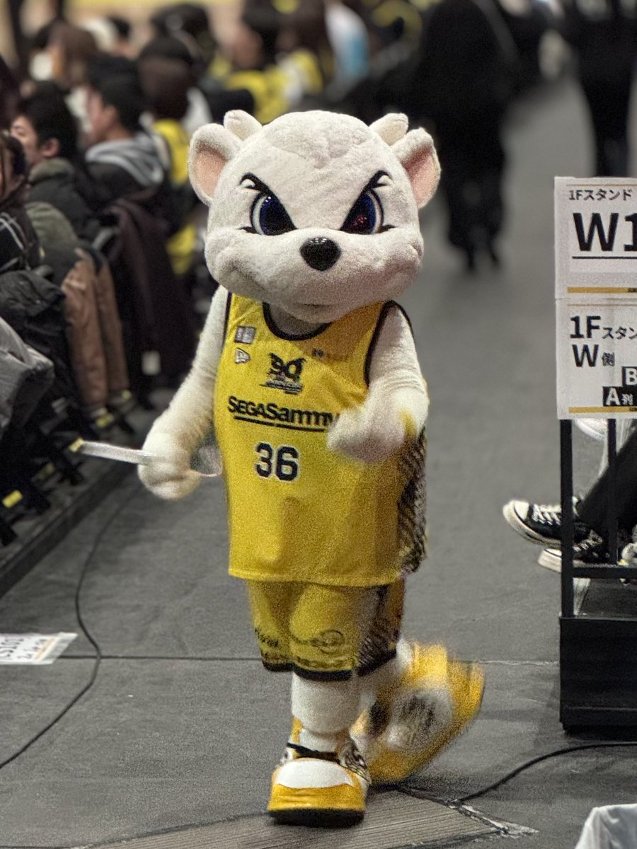 勝った！今日はいい席だった。 会員特典で0円でこんないい席取れてその