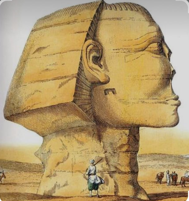 U50000000's tweet image. - فر عوني مكسور خشمه .🔥